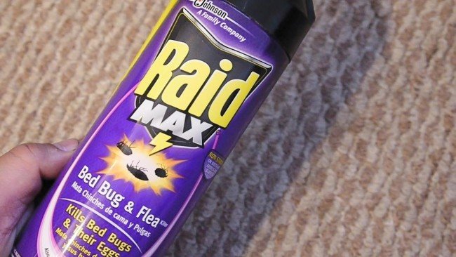 Укуси постільних клопів — Як виглядають і чим лікувати (фото)