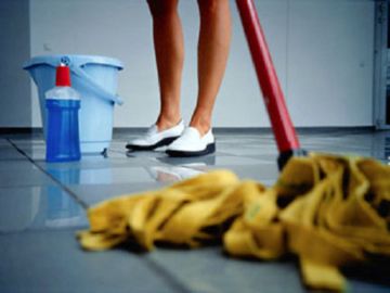 Як позбутися від земляних бліх з будинку і квартирі