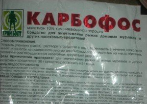 Карбофос від клопів: інструкція по приготуванню і застосуванню