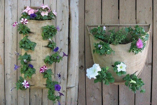 Вертикальні клумби для петунії своїми руками: варіанти оформлення, посадка і подальший догляд за рослиною