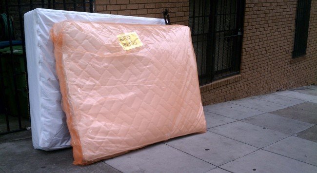 Клопи у квартирі — як врятувати свій будинок від паразитів?