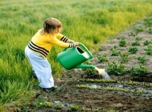Ягідний чагарник жимолость їстівна: нюанси розмноження, правила посадки і рекомендації по догляду