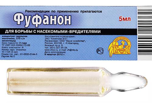 Фуфанон від клопів – як приготувати розчин і обробити приміщення?