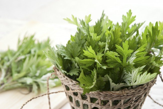 Як позбутися від постільних клопів: корисні поради — бери на замітку!