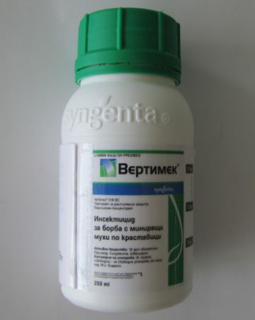 Небезпечний і підступний тепличний тріпс — заходи боротьби і профілактика