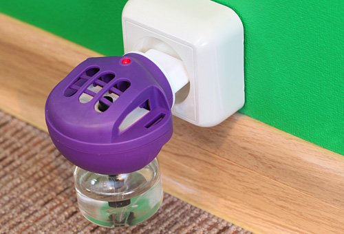 Як вивести моль з квартири – огляд сучасних і народних засобів