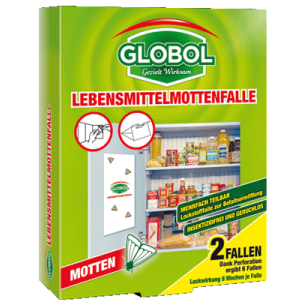 Харчова моль: як позбутися цієї комахи?