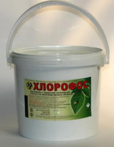 Знищення клопів – засоби для самостійного використання