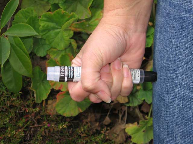 Як допомогти людині при укусі бджоли