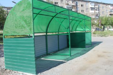 Мясні мухи – чим небезпечні ці переносники багатьох хвороб Мясні мухи – чим небезпечні ці переносники багатьох хвороб