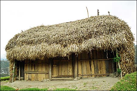 Як побудувати сарай своїми руками: на фундаменті і без нього, пристрій, різновиди сараїв