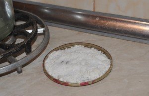 Що робити якщо зявилися мурашки в квартирі