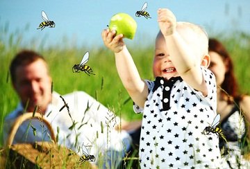 Небезпечний укус оси? Вплив укусу оси на організм, шкідливі чинники, перша допомога.