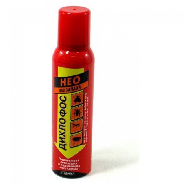 Як вивести вошей і гнид — безпечні способи для вагітних і дітей