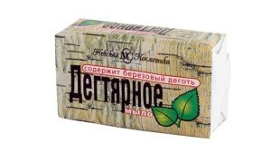 Як позбутися від постільних клопів народними засобами: полин, живиця, багно та інші