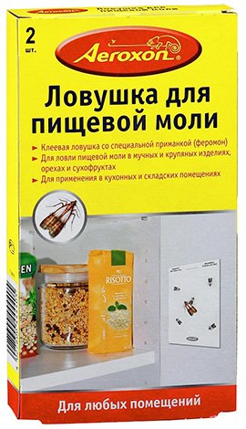 Харчова моль: як позбутися цієї комахи?