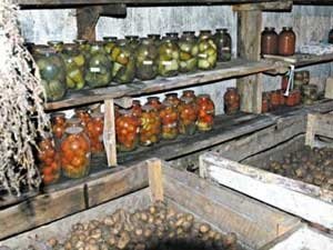 Овочева яма своїми руками: вибір місця, технологія та етапи будівництва