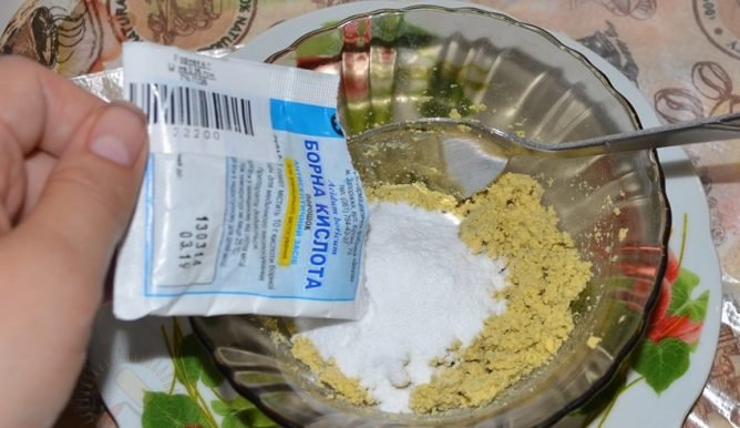 Борна кислота від тарганів: рецепт народного кошти з яйцем