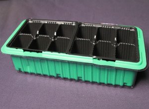 Як правильно садити насіння петунії в гранулах: покрокове керівництво по вирощуванню розсади