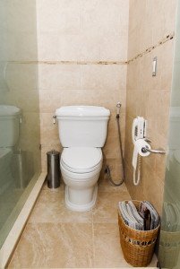 Гігієнічний душ для унітазу зі змішувачем і біде: ціна та інструкція монтажу