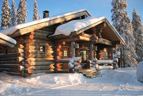 З яких видів деревини краще будувати одноповерхові деревяні будинки