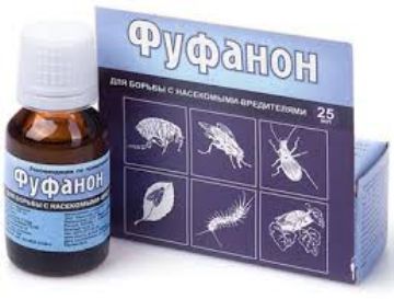 Препарат та кошти від клопів: як застосовувати, де купити, відгуки
