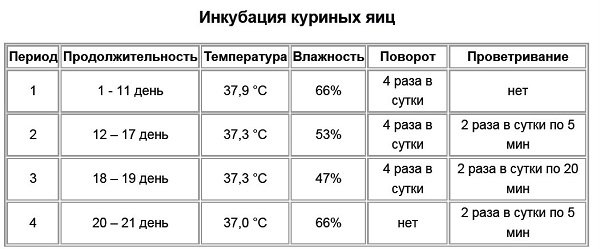 Навіщо потрібен інкубатор для яєць: правила виведення курчат, оптимальний режим і фото Навіщо потрібен інкубатор для яєць: правила виведення курчат, оптимальний режим і фото