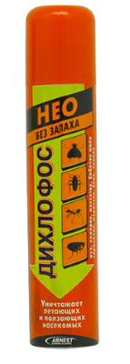 Як позбутися від клопів у квартирі – народні методи боротьби