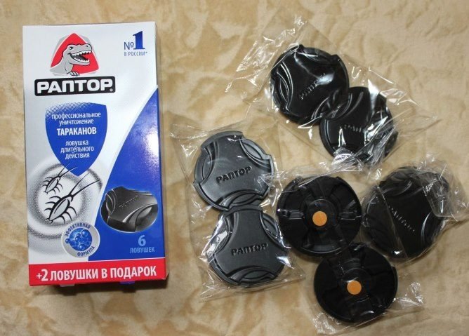 Раптор від тарганів — огляд пасток і засобів