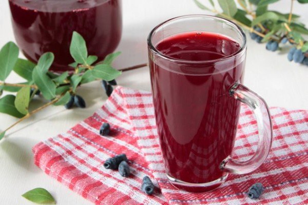 Садова рослина жимолость: що ми знаємо про чагарнику