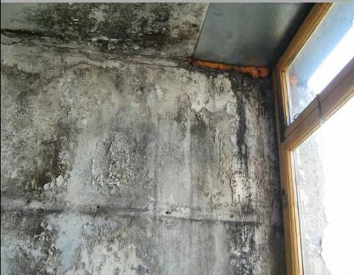 Технологія внутрішньої штукатурки стін з піноблоку