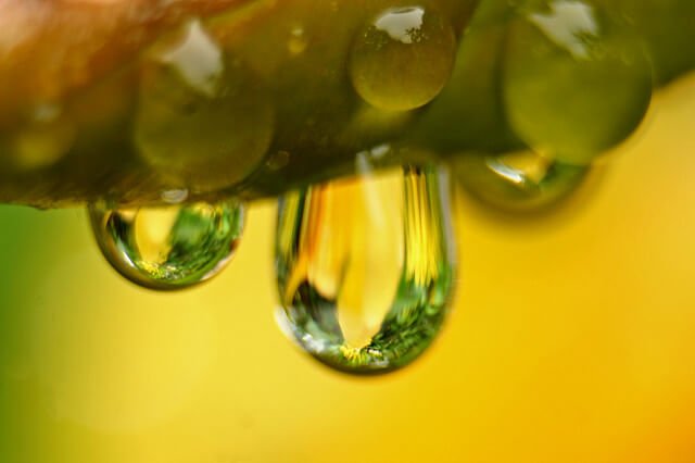 Як отримати дистильовану воду в домашніх умовах