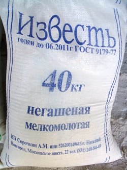 Як боротися з щурами в курнику   найкращі засоби і методи