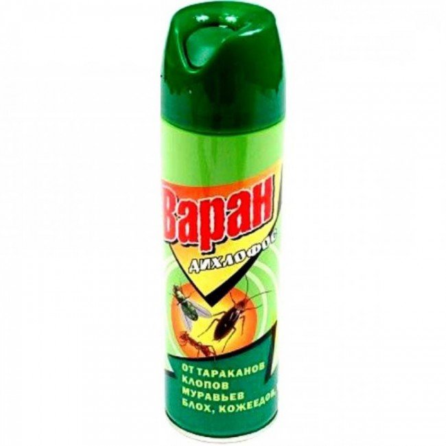 Кращий засіб від тарганів: крейда, аерозолі, пастки — що вибрати?