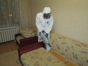 Знищення клопів холодним туманом: суть методу, переваги, відгуки