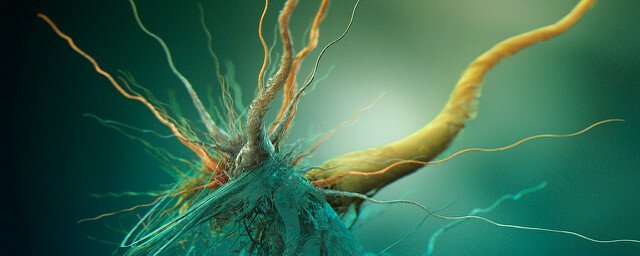 Як вибрати бактерії для септиків і вигрібних ям