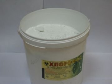 Найбільш ефективні заходи боротьби зі східною плодожеркою на персику