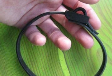 Як вибрати ефективний засіб від бліх для собак і цуценят