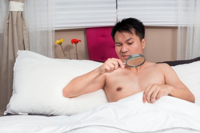 Педикульоз або як вивести вошей — перевірені поради