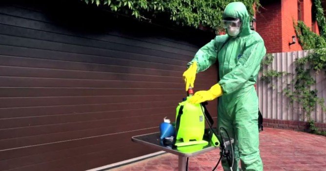 Знищення кліщів на ділянці: методи боротьби