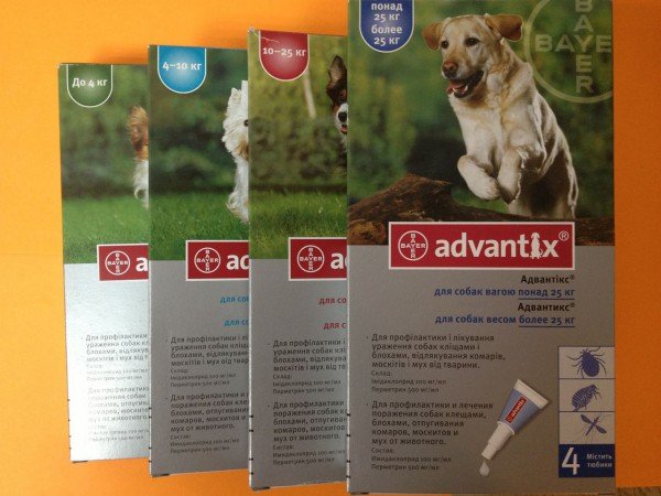 Захистити тварину від укусів членистоногих і хвороб можуть краплі від кліщів для собак