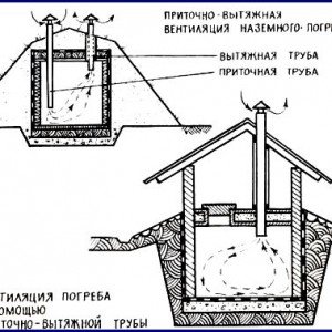 Створення домашнього погребу з цегли своїми руками: інструкція до роботи і планування