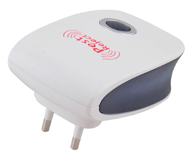 Домашні мурахи – як позбутися від рудих і чорних шкідників