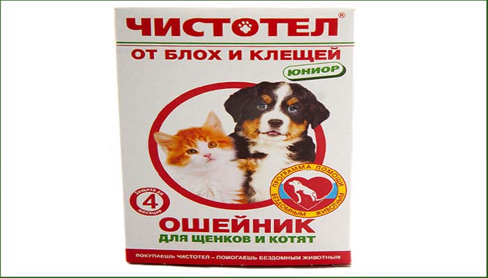 Нашийник від бліх для кошенят: особливості, плюси і мінуси