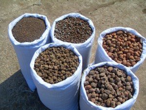 Утеплення пальового фундаменту зовні і утеплення цоколя