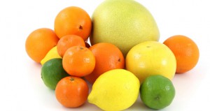 Народні засоби від бліх: чого бояться блохи в квартирі