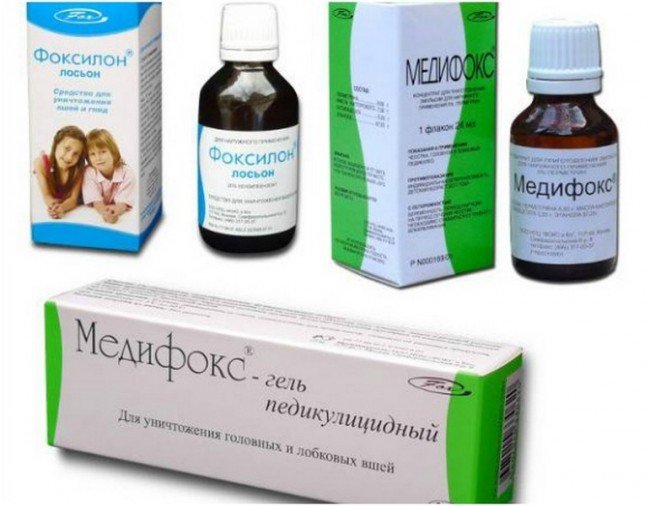 Чому воші небезпечні для людини — Як правильно від них позбавлятися