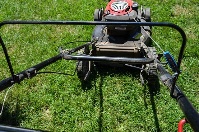 Скільки коштує благоустрій земельної ділянки