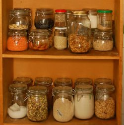 Харчова моль: як позбутися цієї комахи?