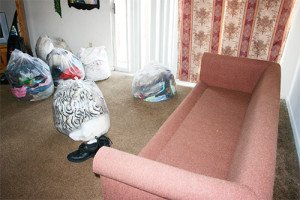 Служба знищення клопів: переваги і як вибрати